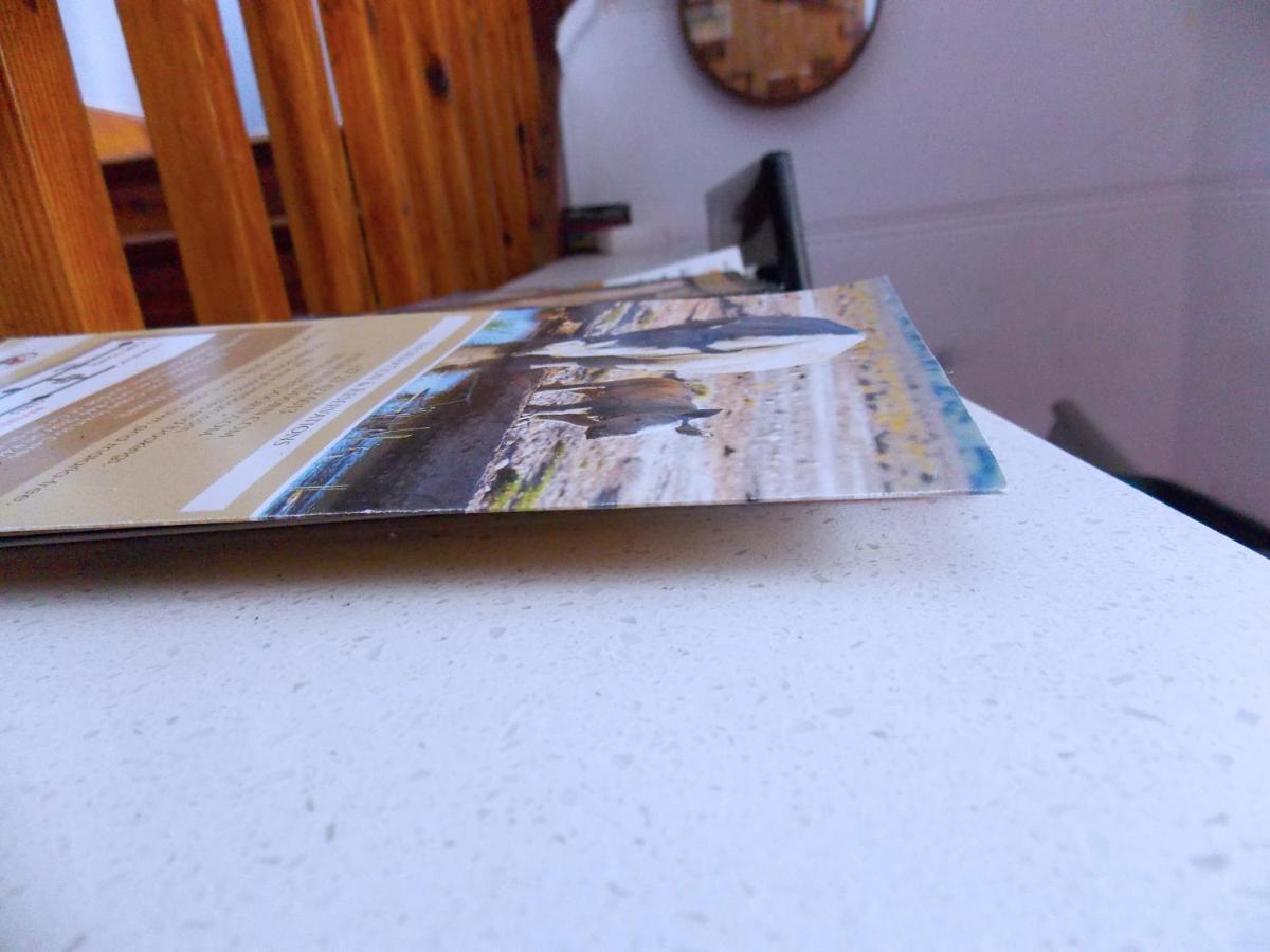 A Pousada Trap Houz Backpackers Cidade Do Cabo Exterior foto